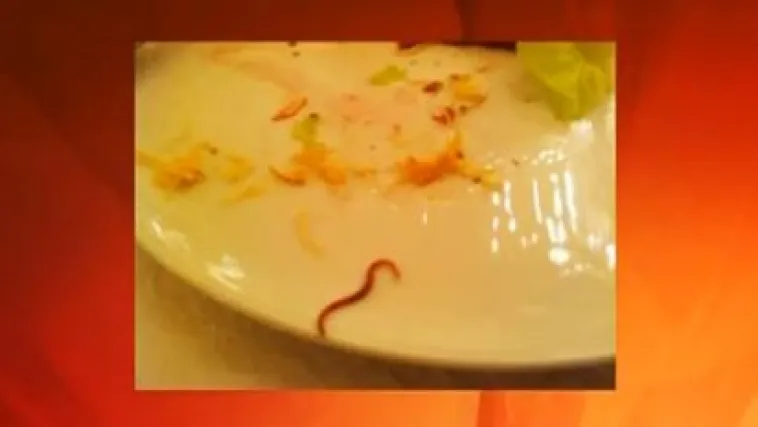 U bolnicu na porciju crva