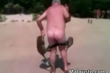 Djedica ostao bez gaća zbog majmuna