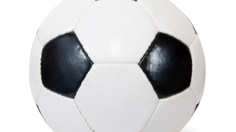 Referendum oko termina održavanja SP-a