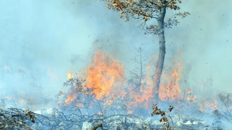 Bura razbuktava požar uz autocestu