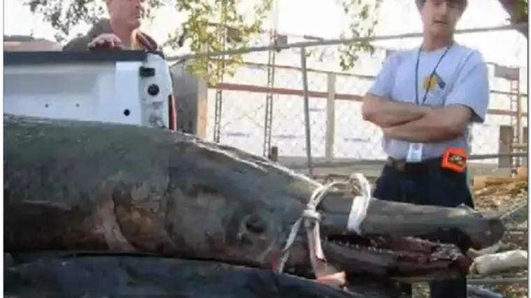 Ribar uhvatio ribu čudovi&scaron;te