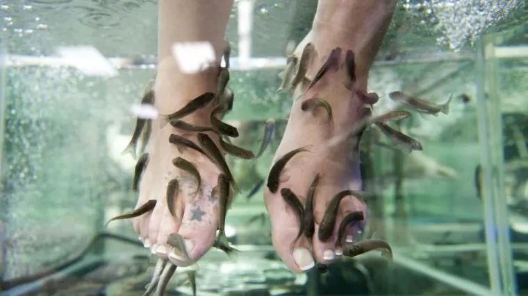 Dođite da vam ribe očiste noge