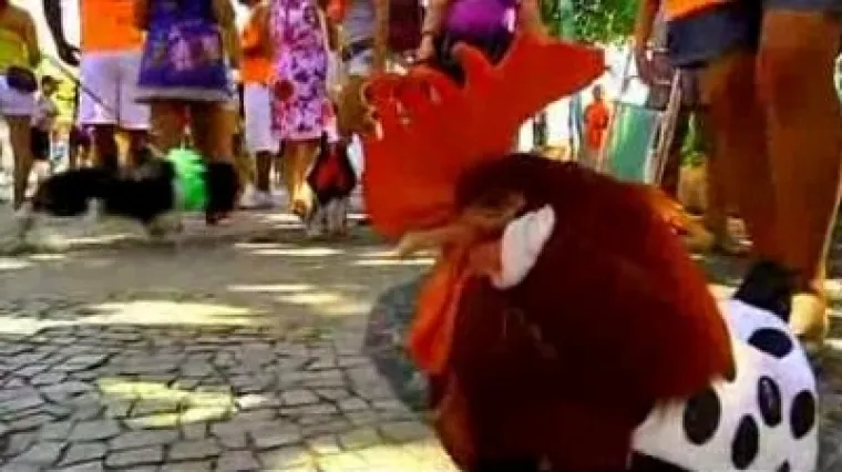 Životinjski karneval