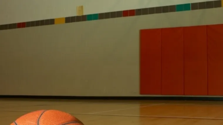 Zakucao ko&scaron; pa umro