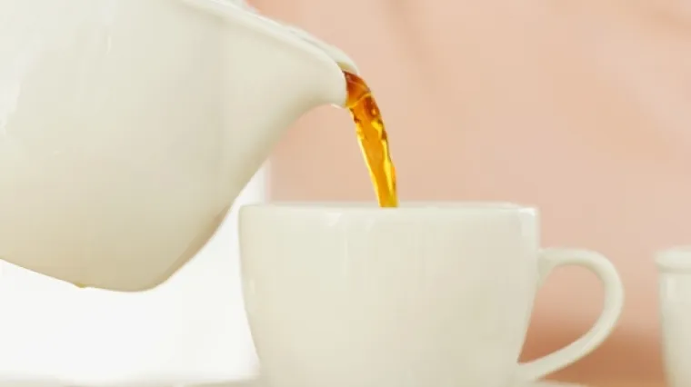 Umočio genitalije u profesoričin čaj