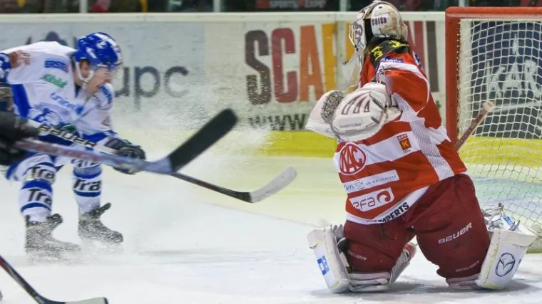 Medvjedi prijeti metla