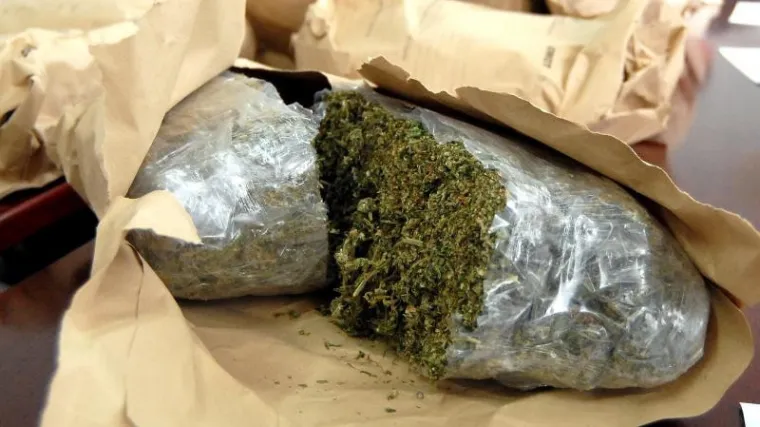 Palo 14 dilera sa dubrovačkog područja