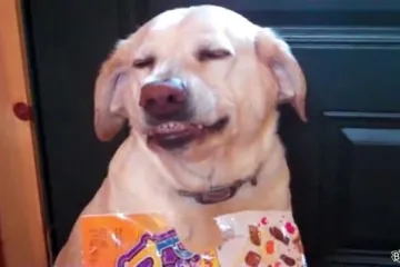 Nije se mogao praviti kao da ništa nije bilo