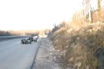 Rat u duhovitim crticama