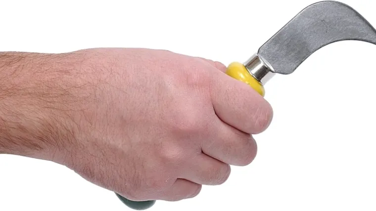 Zbog kastracije kćerinog ljubavnika - 6 godina zatvora