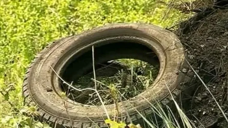 Gore kontejneri, automobilske gume...