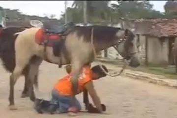 Pijani kauboj pokušava zajahati konja