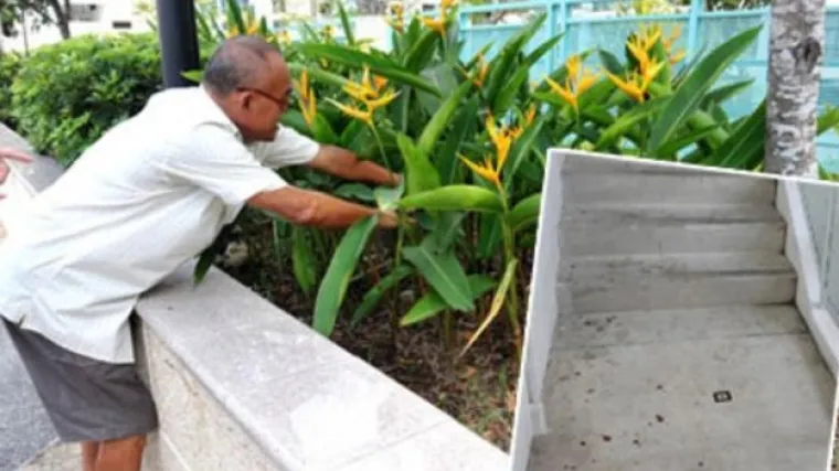 Iz vrta iskopao bebu