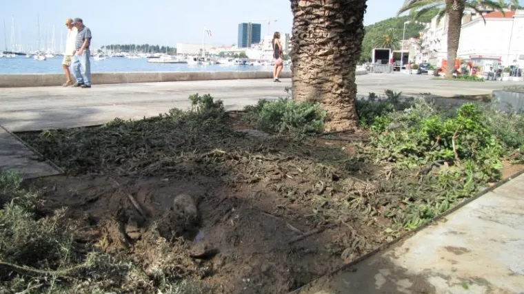 Prosvjed ležanjem na Rivi protiv haa&scaron;ke presude