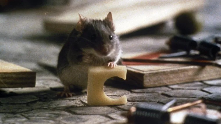 Mi&scaron;evi prizemljili slovenske ratne avione