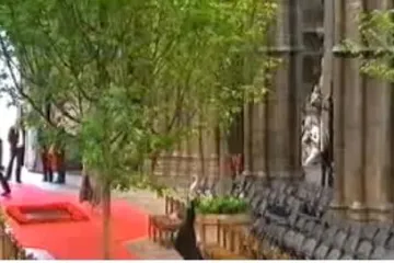 Veseli vikar radi zvijezdu