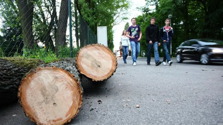 Snažan vjetar ru&scaron;io zagrebačko drveće