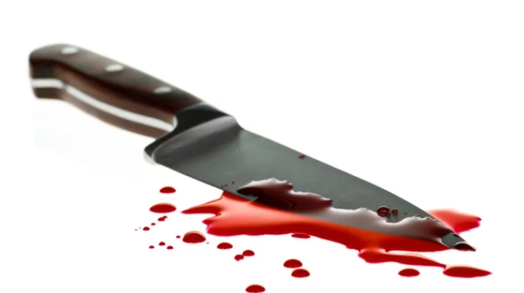 Poku&scaron;aj ubojstva u Otočcu