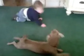 Moraš prvo puzati da bi znao hodati