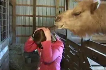 Deva počupala ušokiranu reporterku