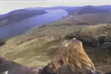 Letite na krilima orla