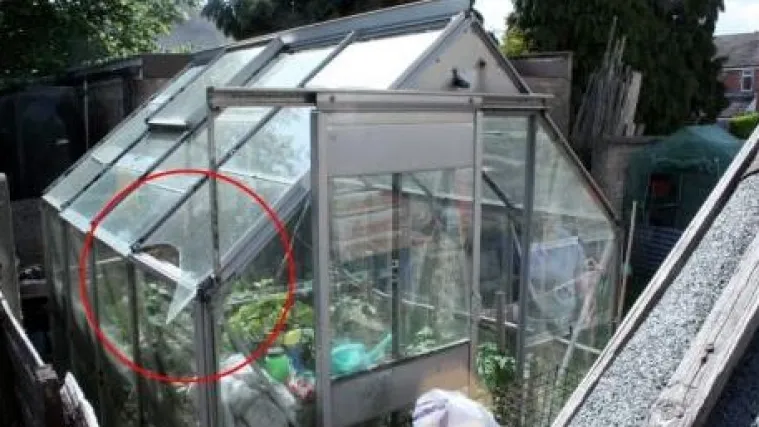 Zbog napucavanja loptom dobit će policijski dosje