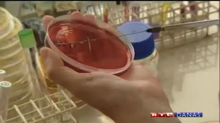 Zaraza se pro&scaron;irila na Ameriku i Če&scaron;ku