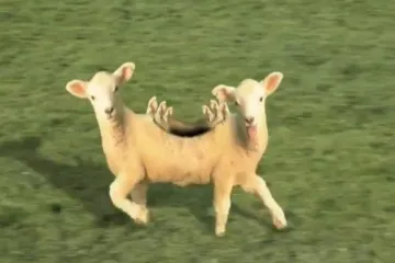 Jeste li dovoljno hrabri za ovo?