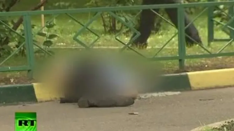 Ubijen idol ruskih desničara