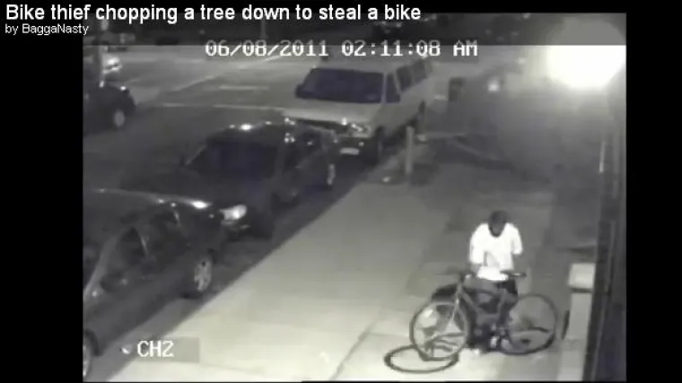 Posjekli stablo kako bi ukrali bicikl