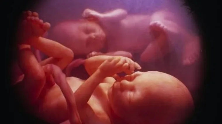 Presađuju joj majčinu maternicu