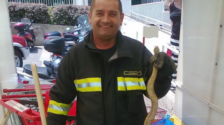 Zmija "u&scaron;etala" u trgovinu