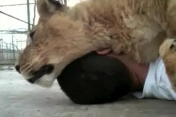 Jeste li dovoljno hrabri za ovo?