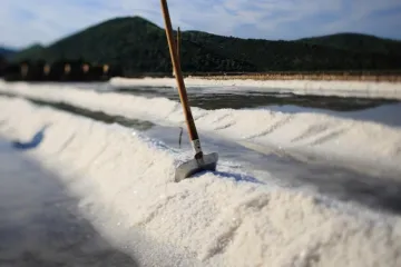 Nakon oduzimanja prednosti udario ga lopatom po glavi