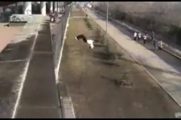 Najstrašniji salto ikada!