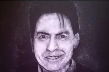 Od zrnaca soli napravio portret Charlieja Sheena