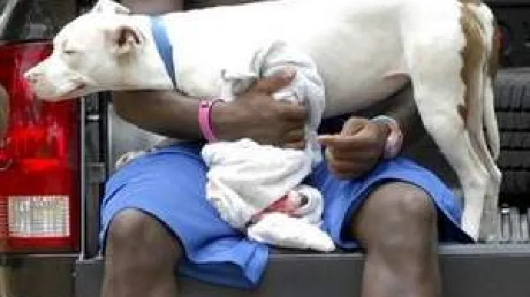 Ciljala opasnog psa, a upucala supruga!