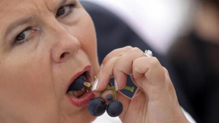 Kosor se ne želi nadmudrivati s predsjednikom