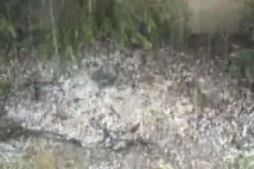 Tuča veličine oraha pogodila Čakovec