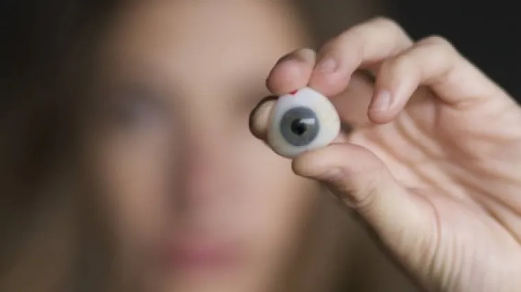 Umjetnica umjesto oka ima web kameru