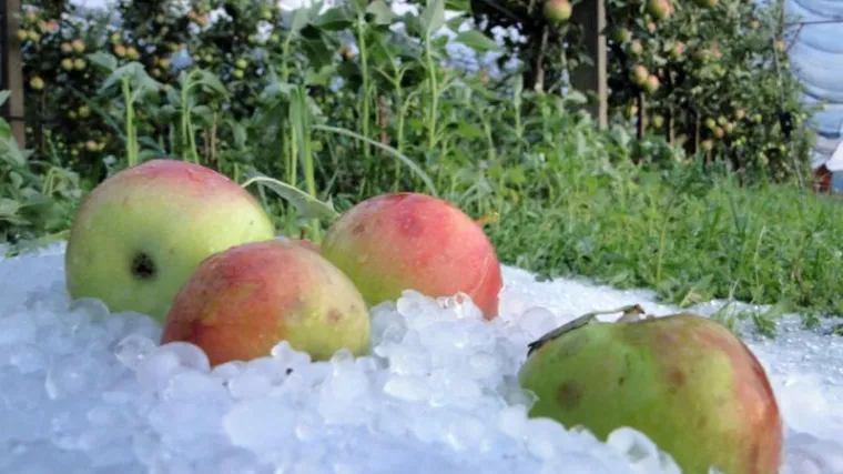 Nezapamćeno nevrijeme poharalo Viroviticu
