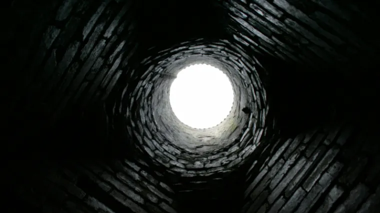 Tražio hranu pa zaglavio u dimnjaku na &scaron;est sati