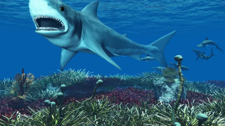 Žestoka borba oca i sina s krvoločnim morskim psom