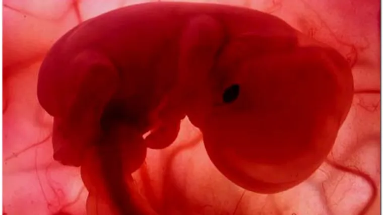 Čudo u Saudijskoj Arabiji: Rodila se trudna beba!