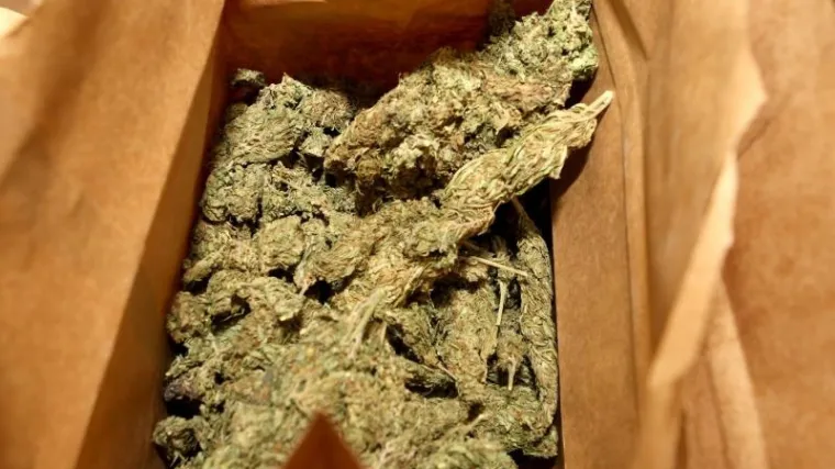 Novozelanđanka do&scaron;la u policiju po svoj kanabis