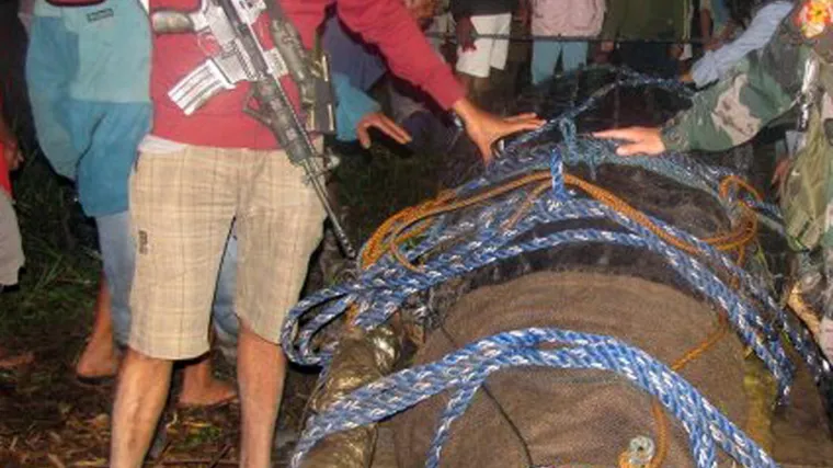 Uhvaćena divovska neman koja je jela ljude