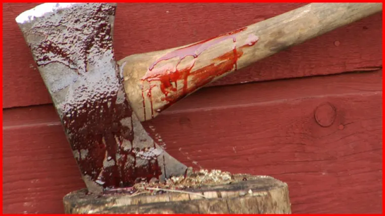 Sjekirom nasrnuo na djevojku i njezinu majku