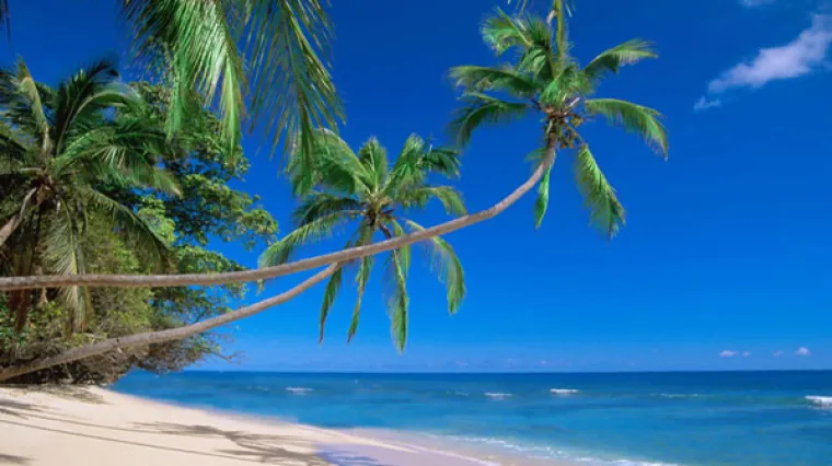 Britanac ubijen u elitnom ljetovali&scaron;tu