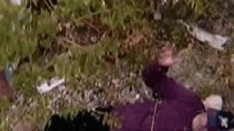 Preživio pad u provaliju jedući lišće