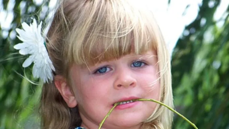 Curica ne prestaje jesti staklo, kamenje i drvo